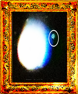 Olha ele ai 80x80 Olha ele ai 80x80